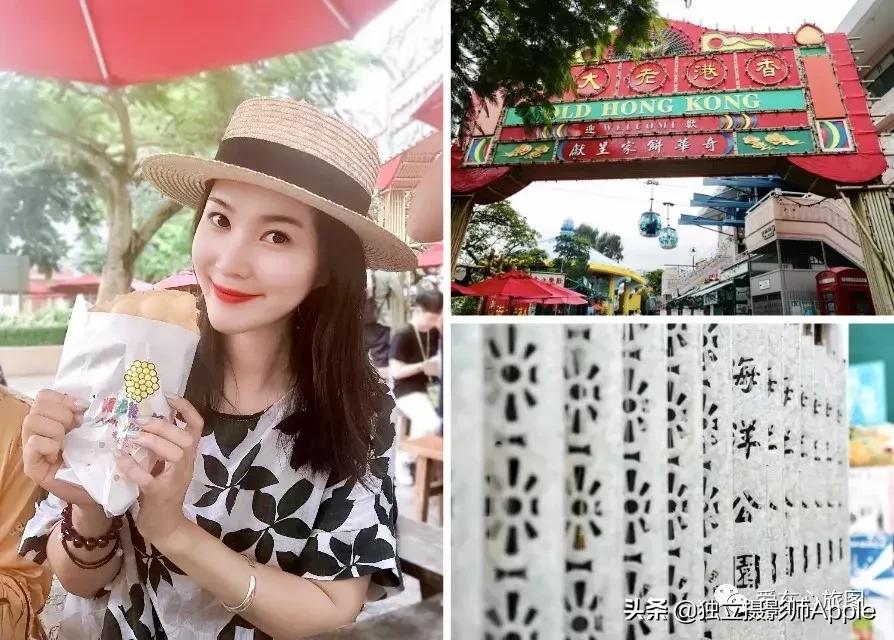 香港海洋公园自由行游玩攻略,香港旅游攻略香港海洋公园