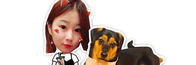 那些引导狗狗站立行走的博主，请停下，不要再伤害可怜的狗狗