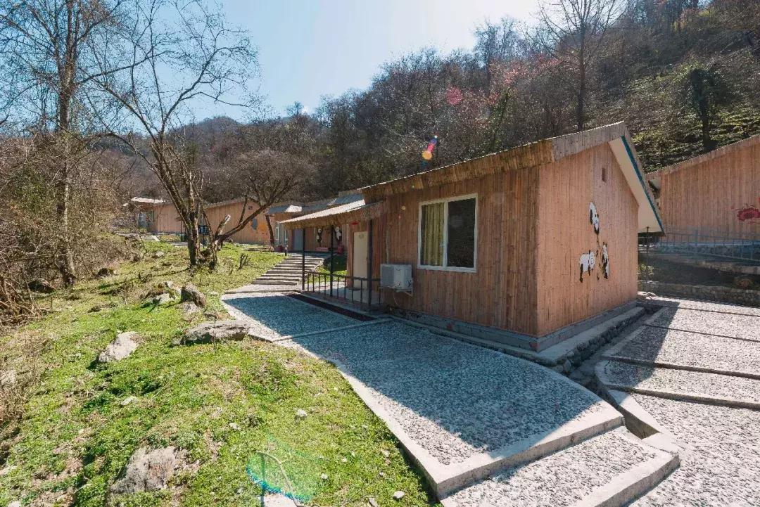 万亩杜鹃花开！邂逅野生水鹿，观云海住树屋，成都自驾3.5h就到！