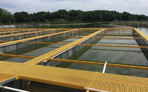 野生海虾和海水养殖虾吃起来区别,养殖虾与海水虾的营养区别是什么