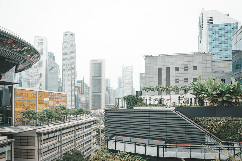 一人一猫环游,一人一猫旅行