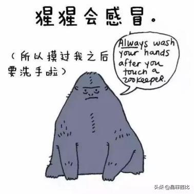 8个关于动物的冷知识,你不知道的二十条动物冷知识