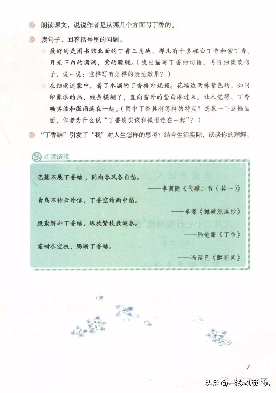 六年级上册第二课丁香结知识点,部编版六年级上册语文丁香结预习