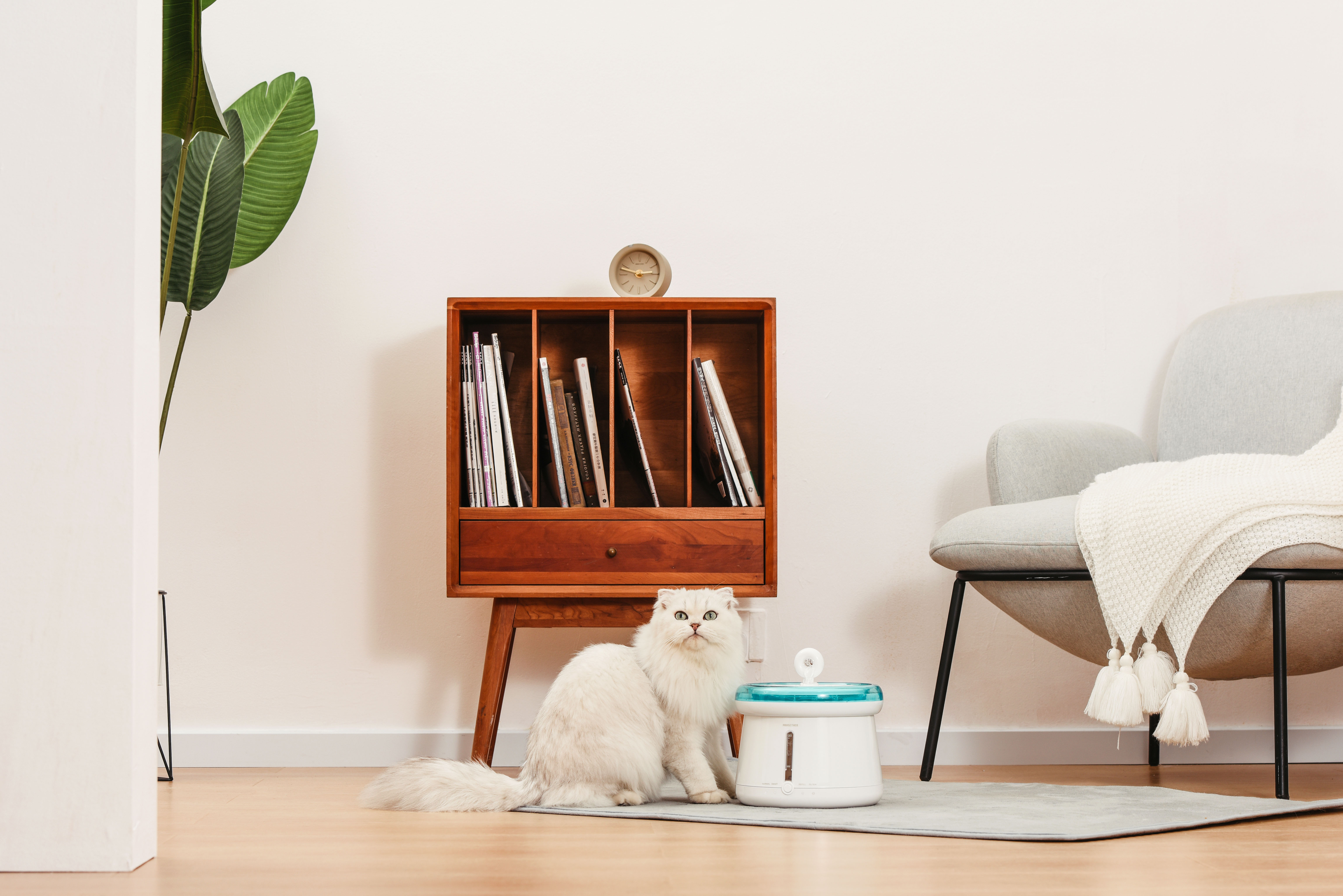 猫智能饮水器智商税,检测宠物饮水量的饮水机