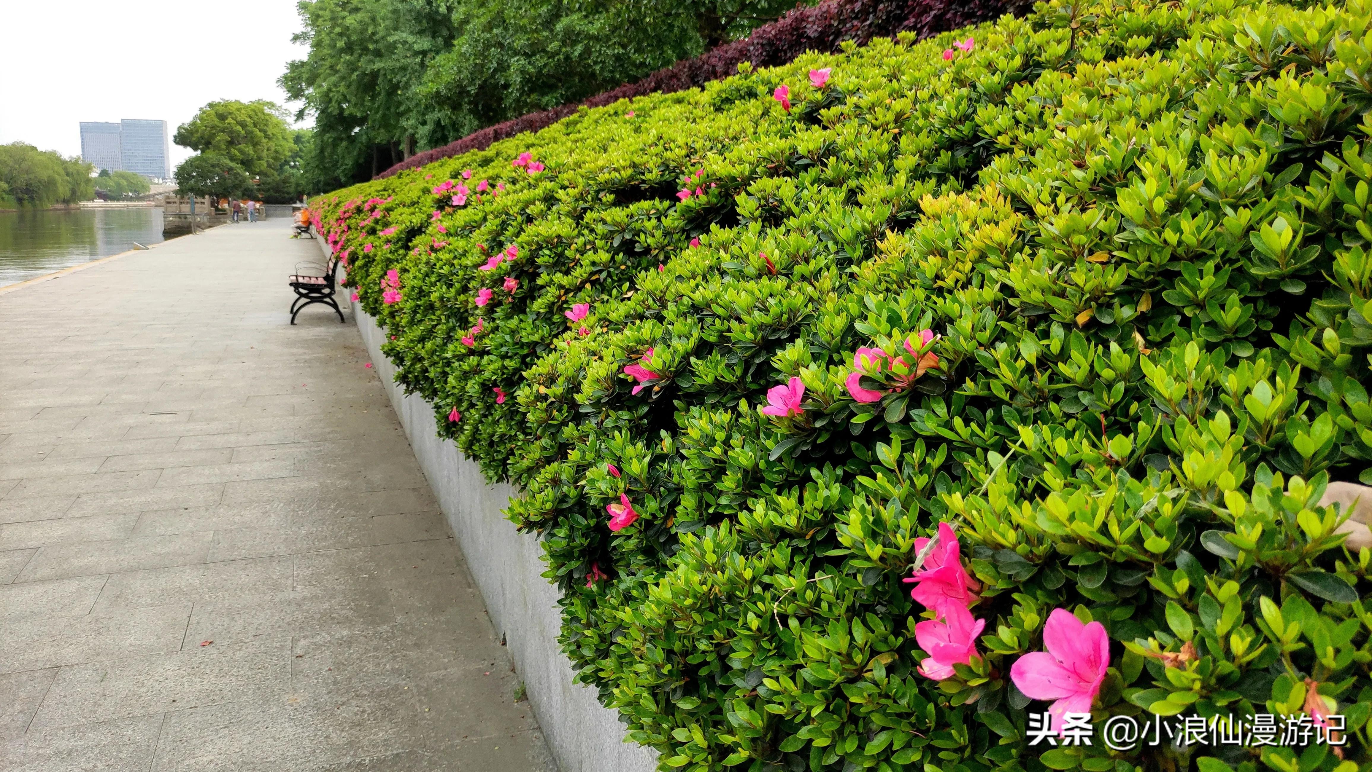 苏州春节免费景点有哪些,苏州景区免费景点大全