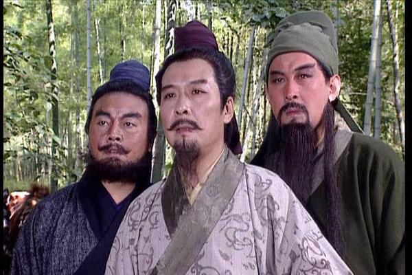 新三国各集主要内容,新三国剧情不忍直视