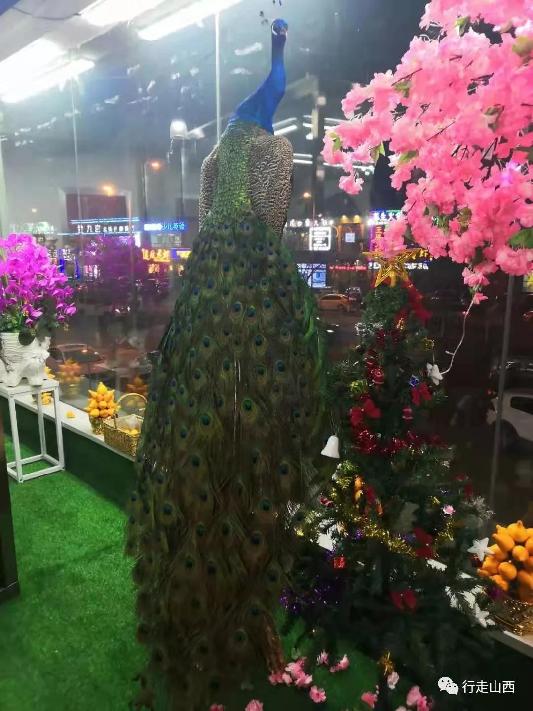 开一家温暖的花店一群温暖的人,开一家梦想中的花店