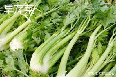 芹菜什么部分降压效果好,熬芹菜水可以快速降压吗