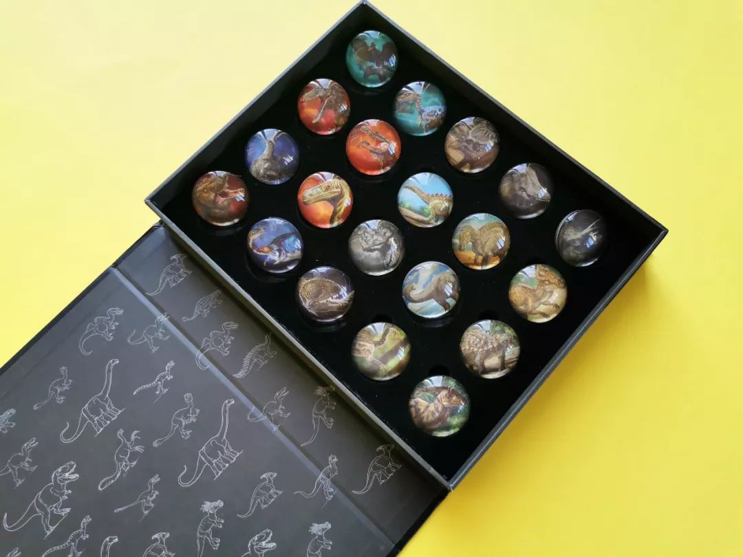 3-5岁儿童恐龙大全,0-6岁儿童恐龙合集