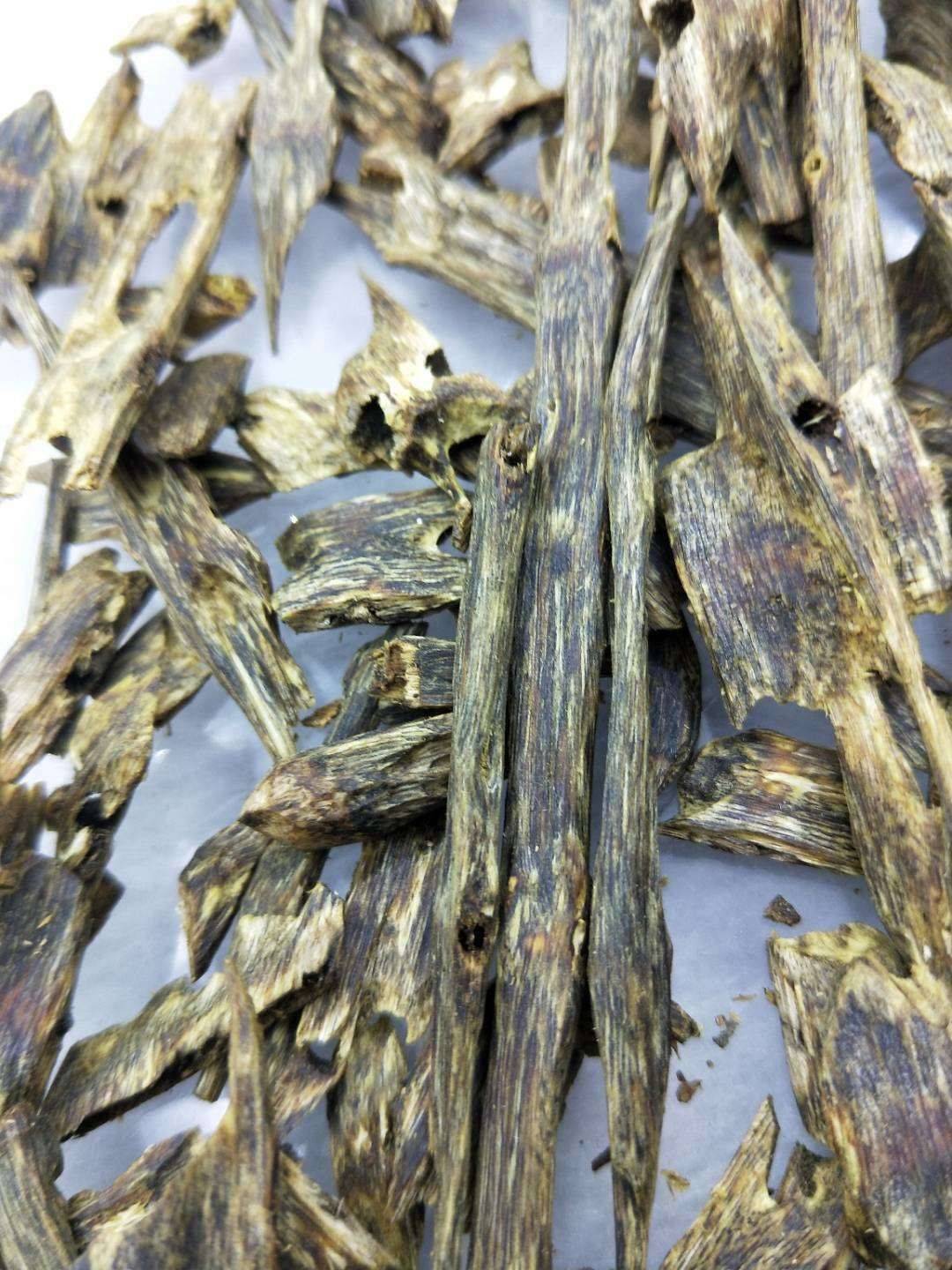 身价过亿的沉香种植小伙子,小伙投资五百万种300亩沉香