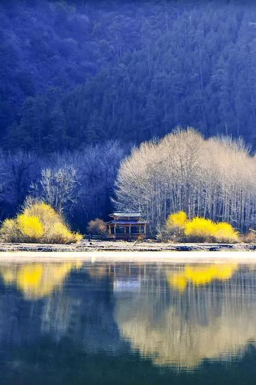 老实人该何去何从,老实人要怎样对待