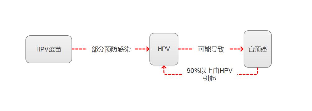 感染了hpv是不是容易得宫颈癌,感染hpv患癌几率