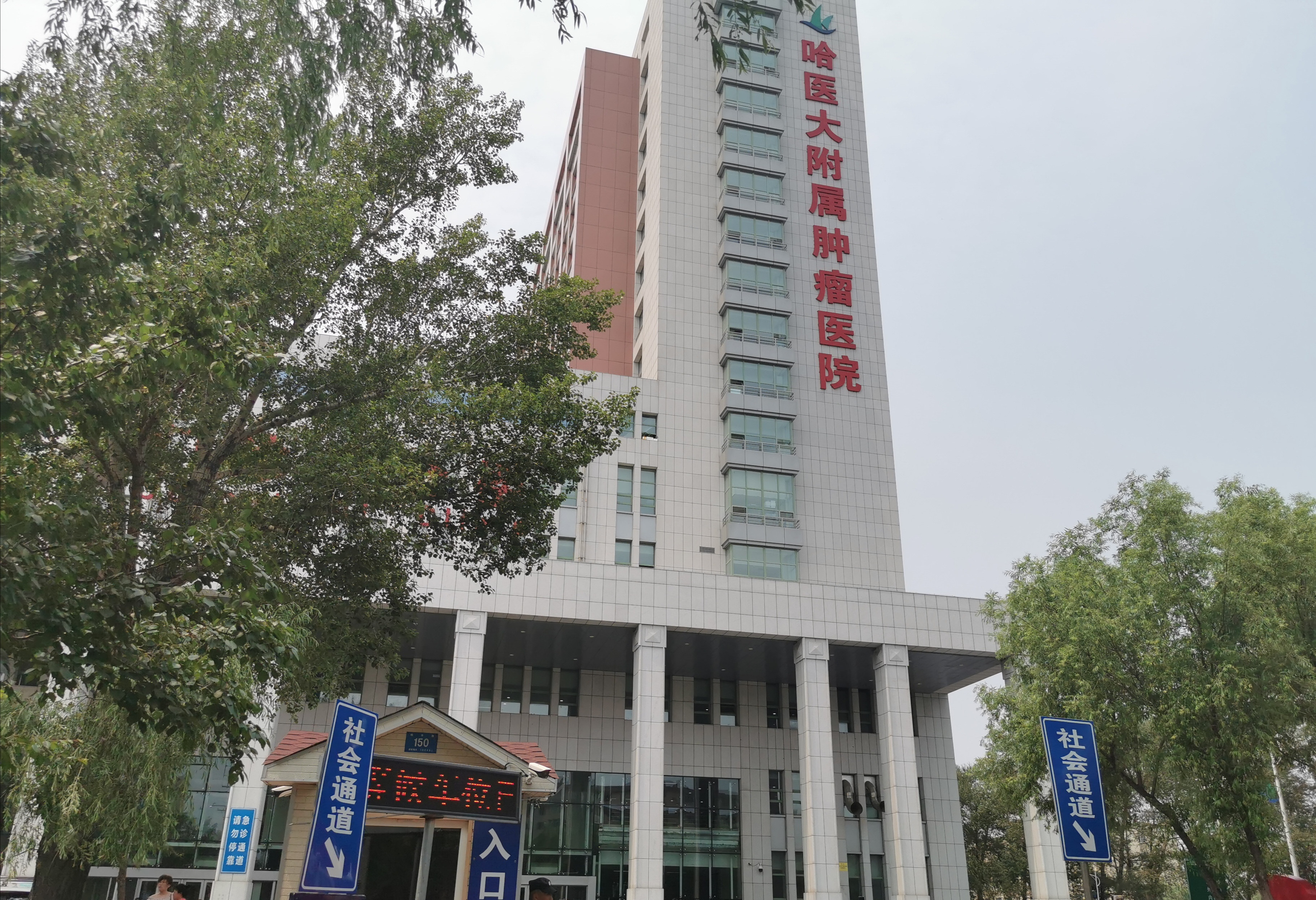 哈尔滨黑120救护车处罚规定,哈尔滨黑救护车审判