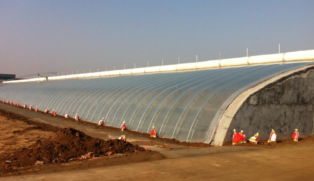 一亩温室大棚大概价格,塑料大棚日光温室连栋温室造价