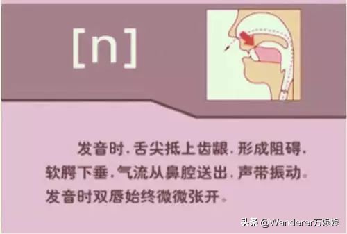英语48个音标发音附详细图解,音标发音48个正确发音讲解视频