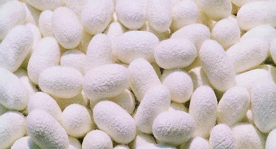 纺织常用原料,纺织常用的原料