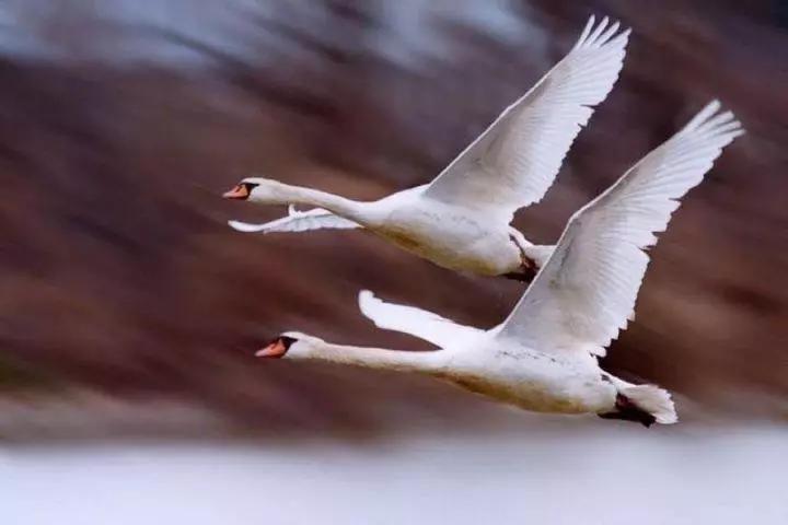 2023十大语文差错,十大语文差错自测一下你中了几个