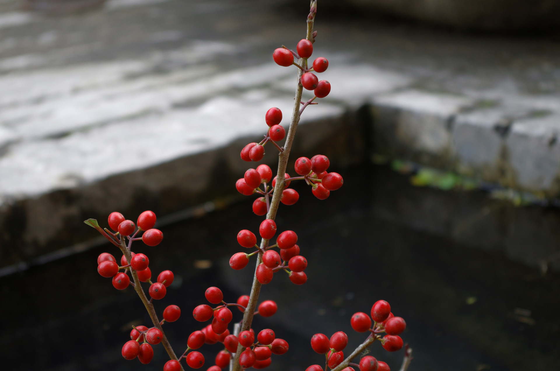 岁月静好知足常乐的文案,岁月静好知足常乐的句子