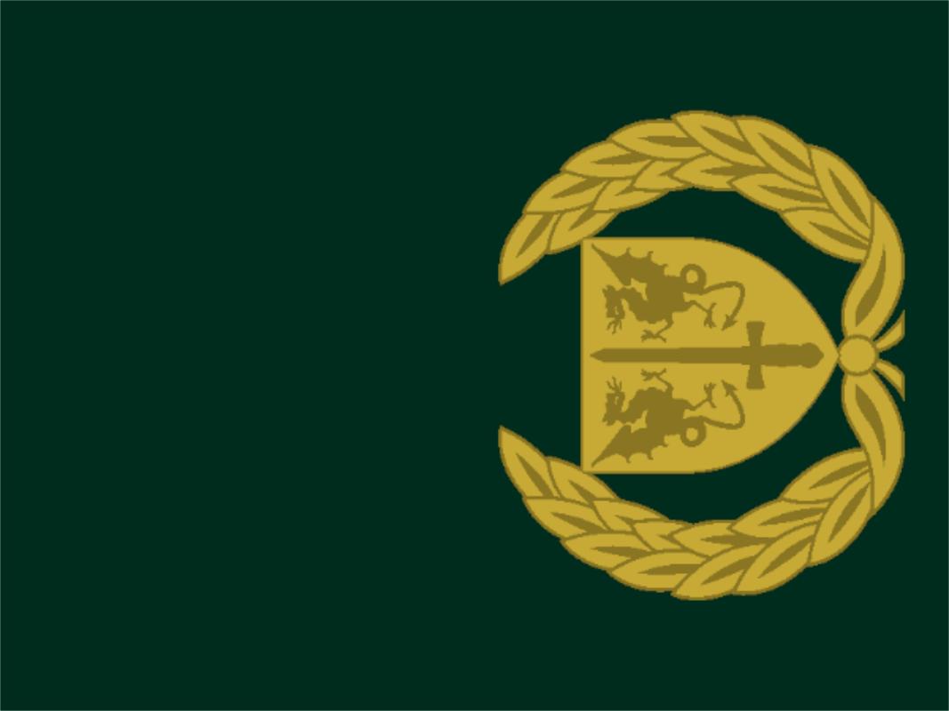 各国军队标识葡萄牙陆军,各国军衔标识葡萄牙