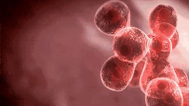 经常这样喝让你的脸色红润还养颜,每天坚持这样喝皮肤又白又嫩