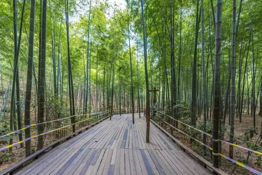 最美十首夏日诗词,收藏50首夏日古诗词带你清凉一夏