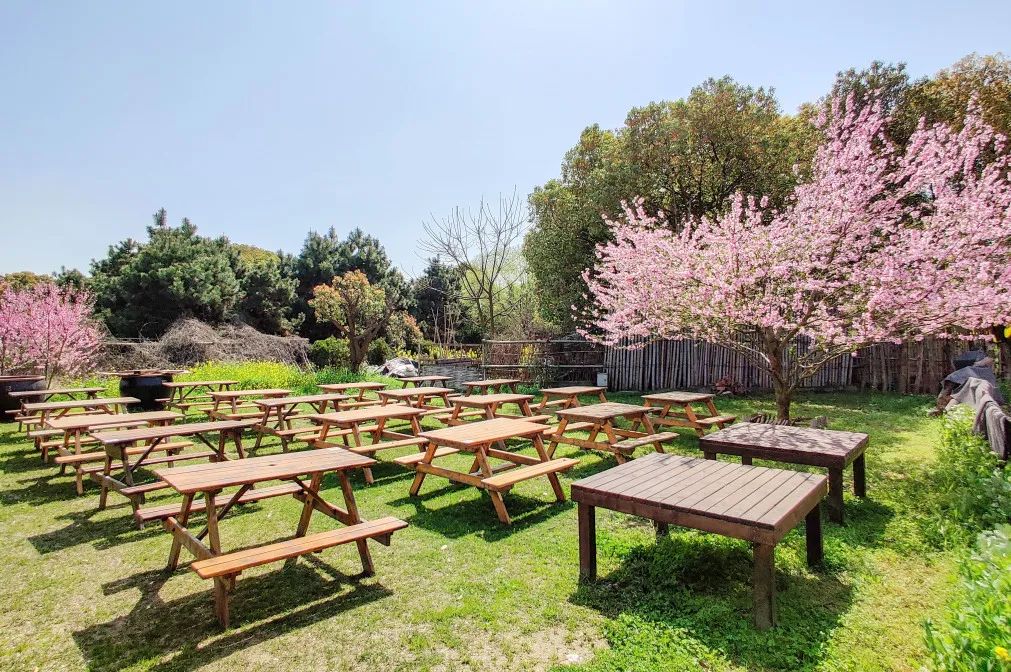 吴江太湖大学堂国际实验学校,苏州太湖大学堂附属学校