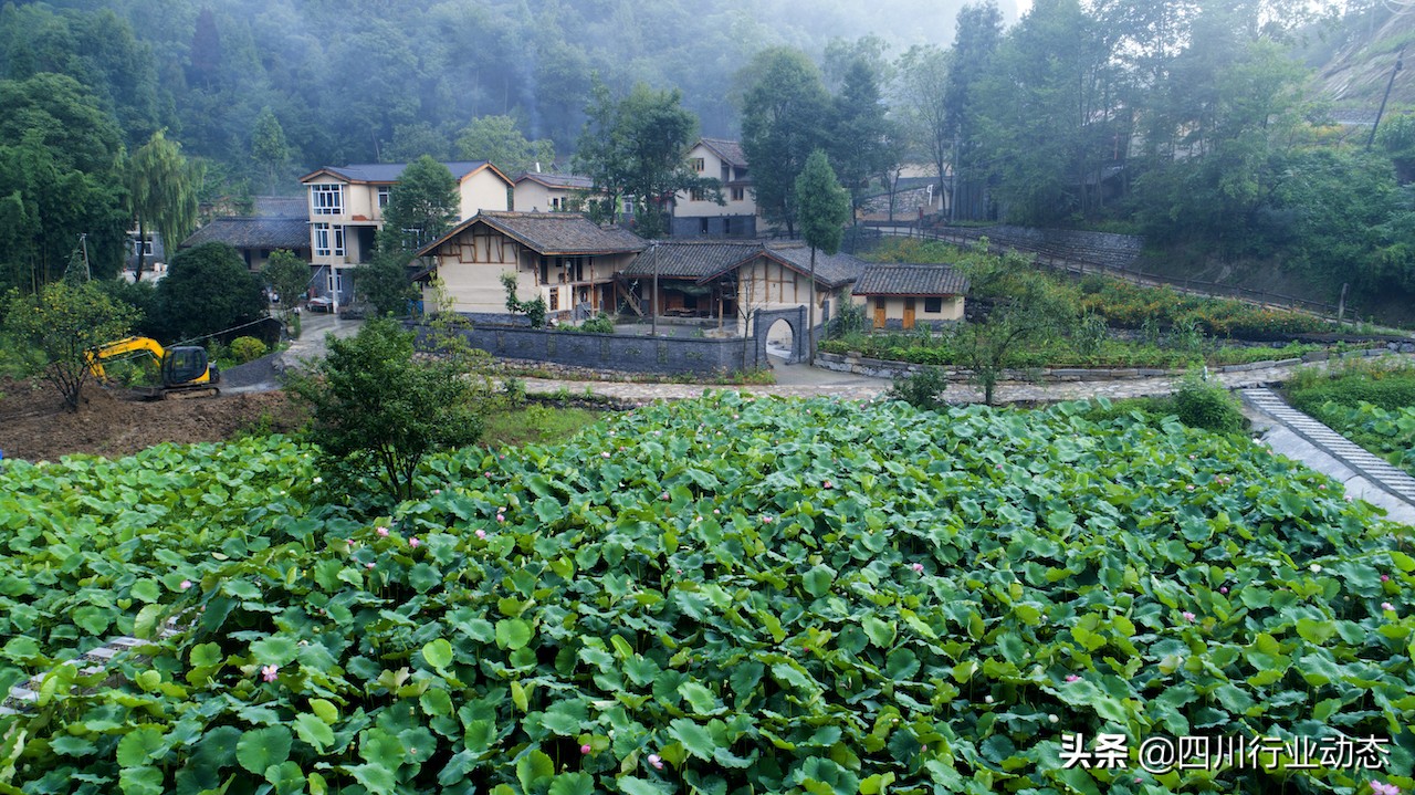 广元头条罗圈岩农家乐,广元罗圈岩村