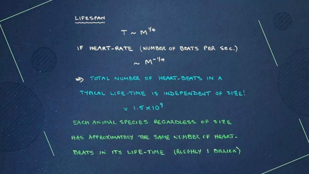 科学家找到6个神奇的数字,科学家找到6个神奇数字