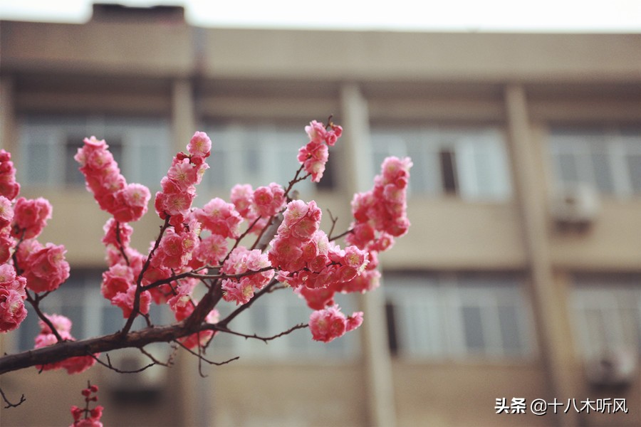 考研调剂适合什么时候发邮件,考研调剂发邮件咨询应该问什么