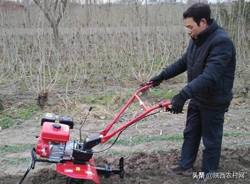 农村最容易赚钱的投资,农村适合投资小本生意的好项目