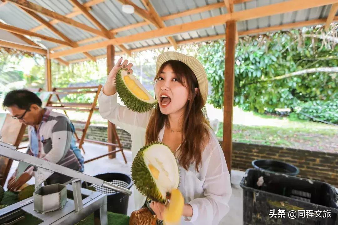 马来西亚宁静的小镇,马来西亚的花样小城