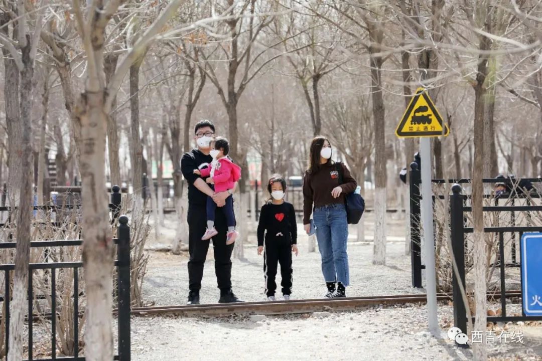 天津西青郊野公园开放最新通知,天津临港亲海公园什么时候开放