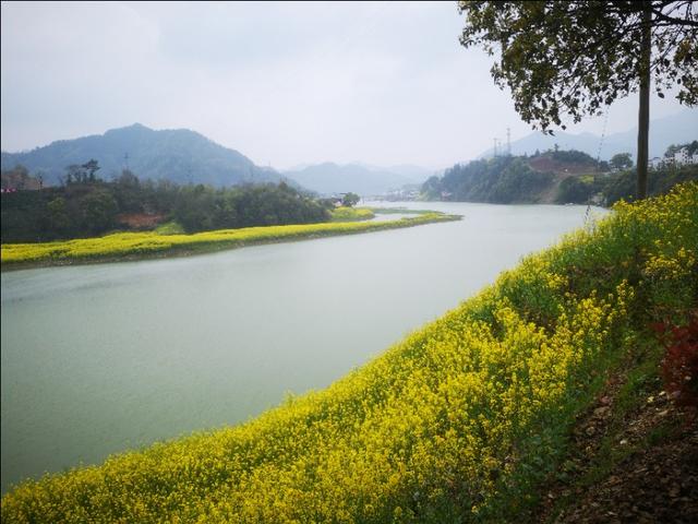 去安徽黄山玩攻略,安徽黄山三日游最佳攻略