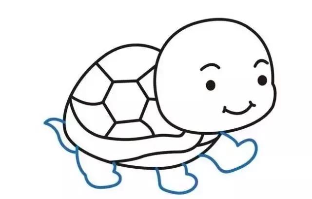 儿童画小乌龟简笔画视频,创意小乌龟儿童画图文