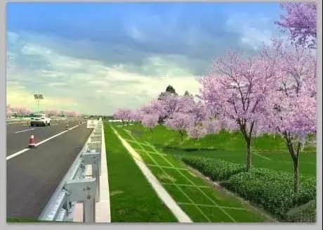蓝花楹西昌航天北路公交车,蓝花楹卫星宾馆