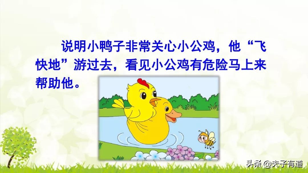 一年级下小公鸡和小鸭子看图写话,一年级下册小公鸡和小鸭子第五课