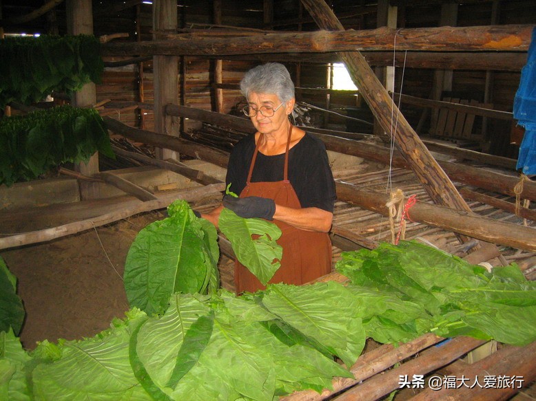 给我一支雪茄，我别无他求！探访世界顶级雪茄故乡，人人享用其中