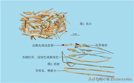 【清风典历】白马非马