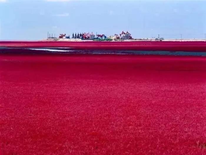 西甲竞彩西班牙人vs比利亚雷尔,西班牙人西甲竞彩