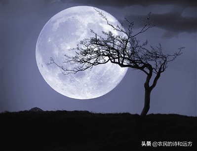 苏轼的水调歌头婵娟表达了什么,千里共婵娟是苏轼什么时候写