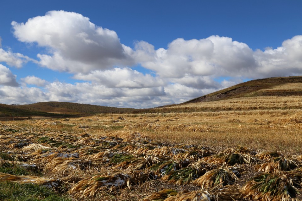 华为手机复制照片,华为手机怎么将多张照片组在一起