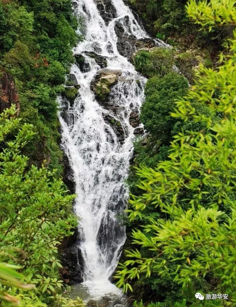 春风十里不如你，我在华安等着您