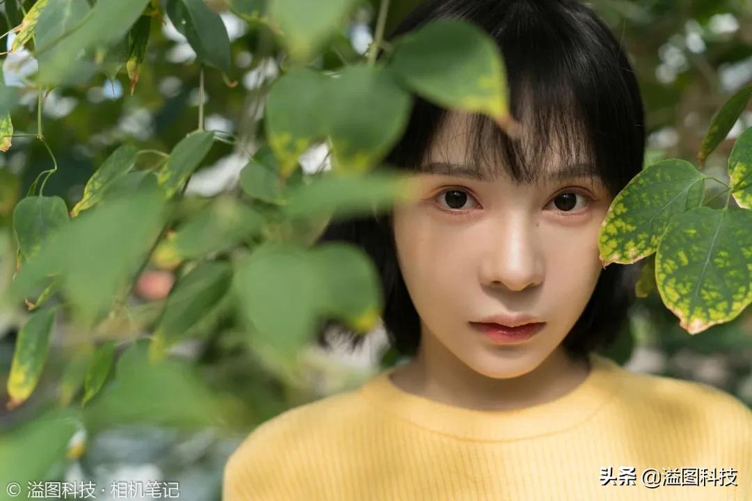 腾龙35-150f2.84.0和70-200怎么选,腾龙35-150mmf2.8拍人像