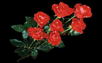 520情人节祝福送上真的太美了,最新的520情人节