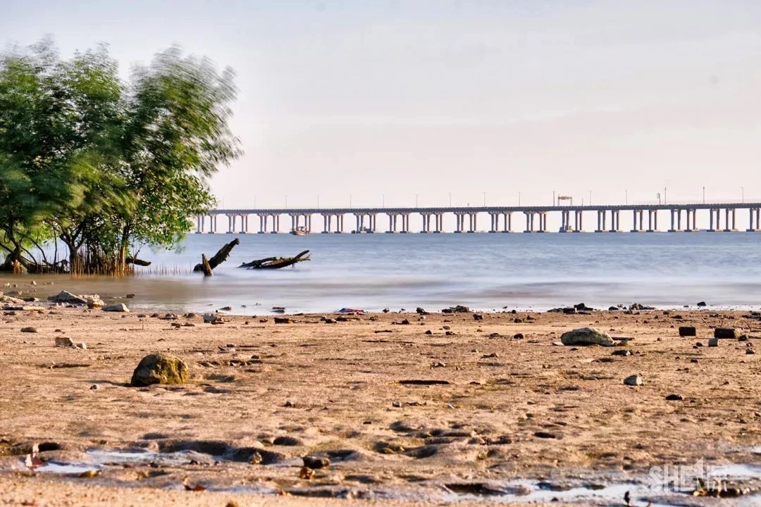 深圳1号线晚上好去处,地铁深圳一号线哪里好玩