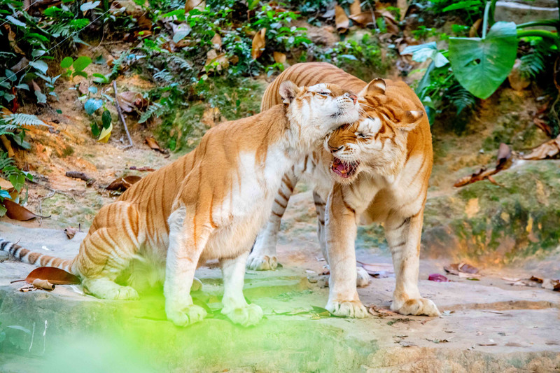 寒假亲子游推荐广东,广东自驾亲子游十大排名