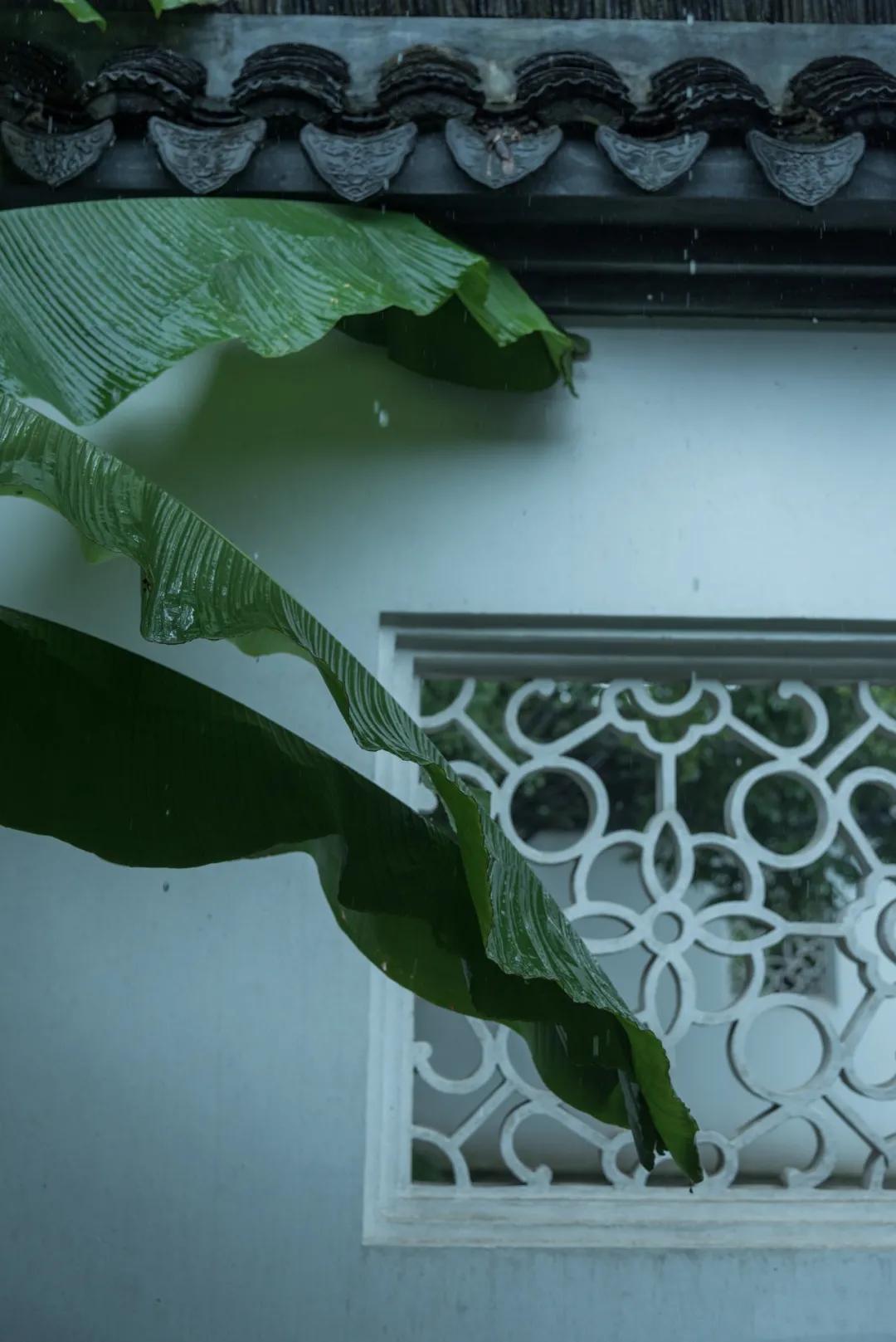 隔窗听夜雨先闻芭蕉声,隔窗知夜雨芭蕉先有声