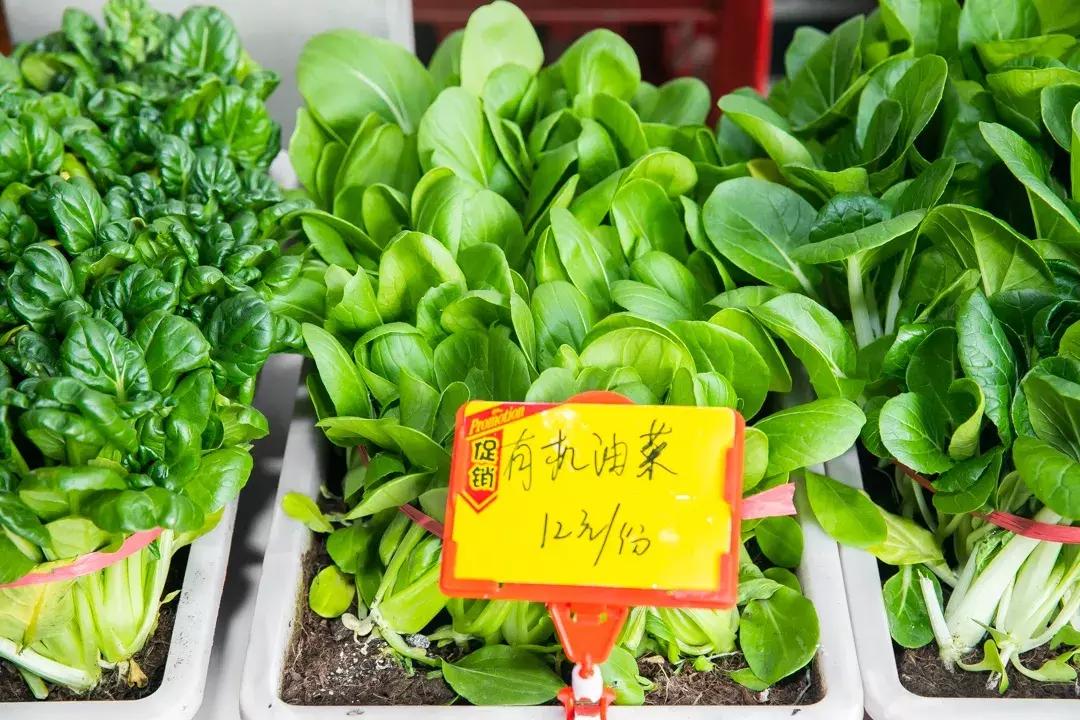 魔都惊现「2层楼小香港」，卖“蹦迪海鲜”！花胶鸡、6头鲍免费送