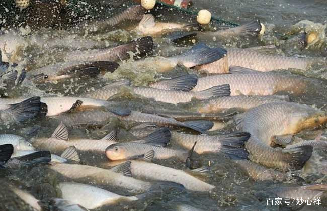 记住了，吹牛的时候用的到：“中国四大”