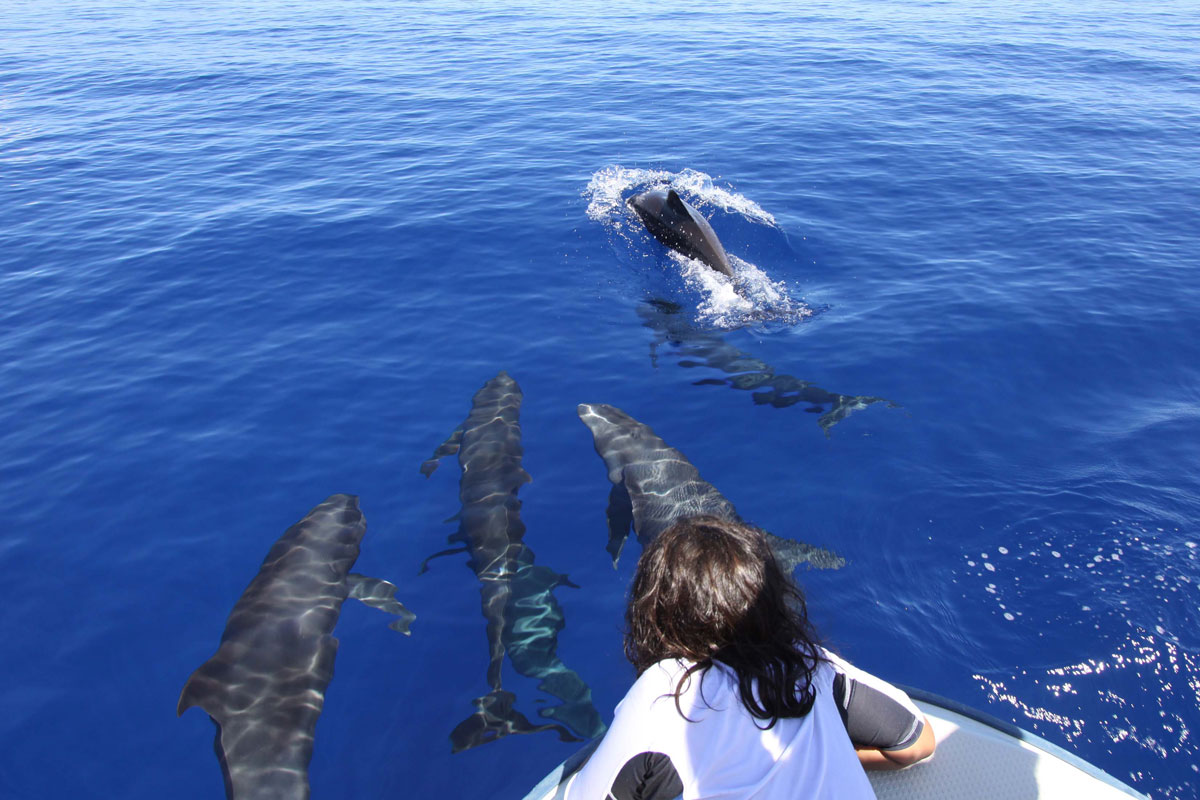 人口仅1.8万的小国帕劳：人均负债却高达547万，约是我国的640倍